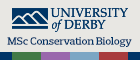 University of Derby