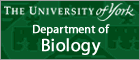 University of York
