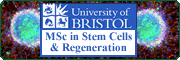 Featured Masters Course