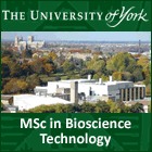 University of York Featured Masters Courses