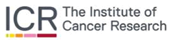 ICR, The Institute of Cancer Research, Division of Molecular Pathology logo